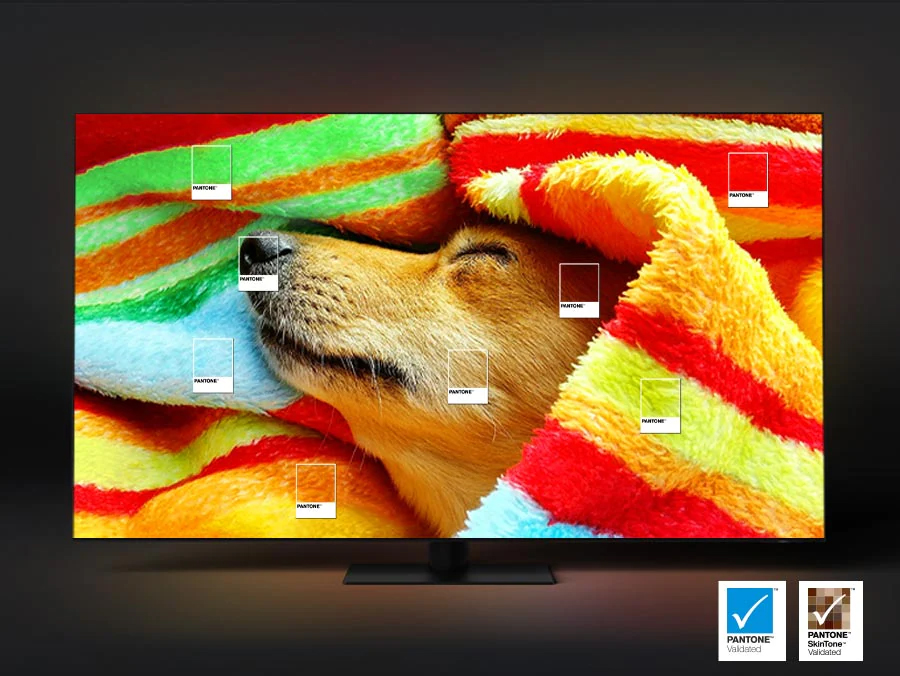 Smart Tivi Samsung Neo QLED 4K 55 inch QA55QN90C