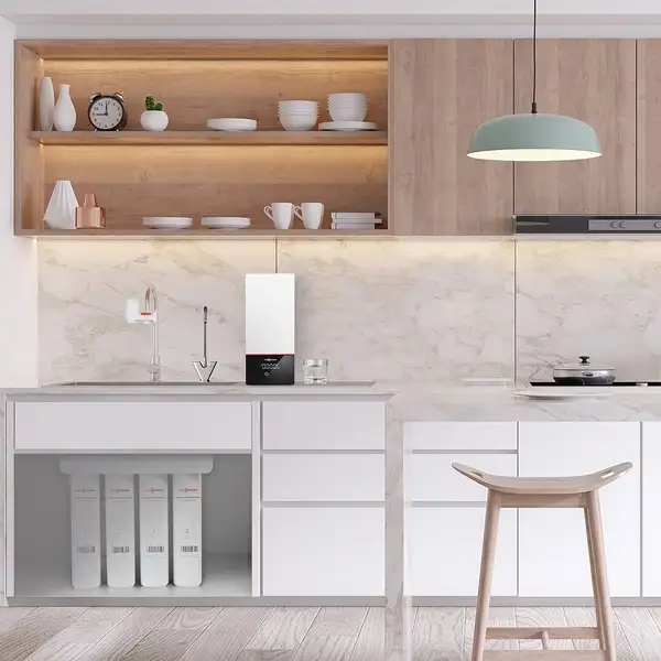 Máy lọc nước trung tâm VITOPURE S2-2T